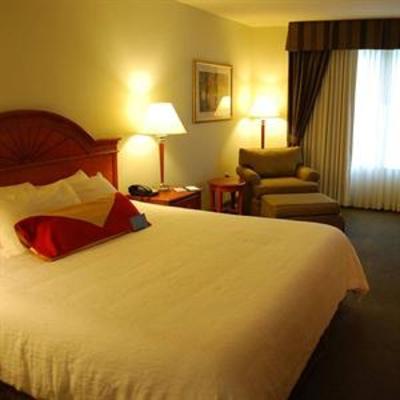 фото отеля Hilton Garden Inn Houston/The Woodlands