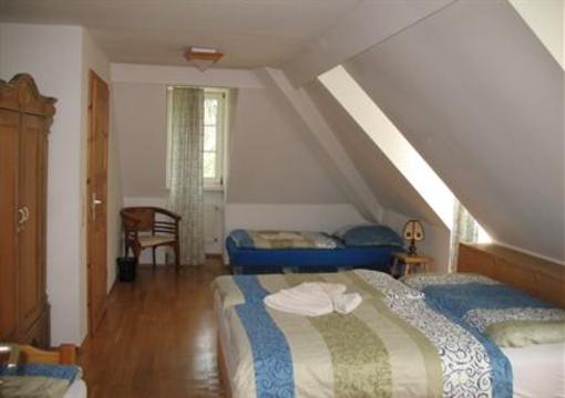 фото отеля Felsenmühle Im Tal Hotel Neuleiningen