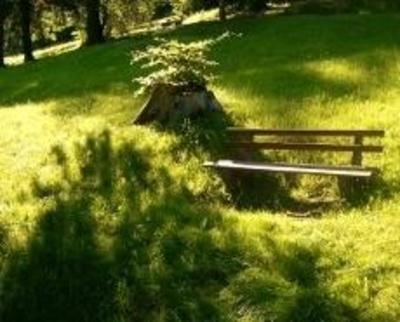 фото отеля Pension Lamm
