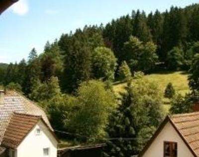 фото отеля Pension Lamm