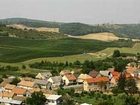 фото отеля Wekler Csaladi Pinceszet Es Vendeghaz