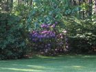 фото отеля Lonesome Dove Bed and Breakfast