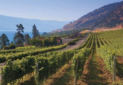 фото отеля BEST WESTERN PLUS Wine Country Hotel & Suites