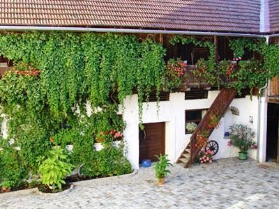 фото отеля Landgasthof Zur Blauen Traube Yspertal