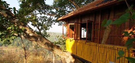 фото отеля Chamundi Hill Palace Ayurvedic Resort