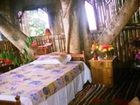 фото отеля Chamundi Hill Palace Ayurvedic Resort
