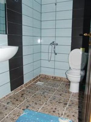 фото отеля Pension President Baile Herculane