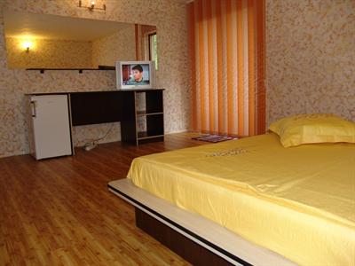фото отеля Pension President Baile Herculane