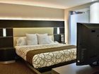 фото отеля N.Y.T. Roma Hotel Boutique