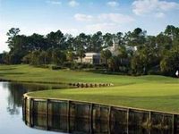 Saddlebrook Resort Tampa