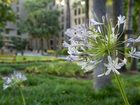 фото отеля Doubletree Houston Intercontinental Airport