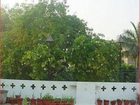 фото отеля Bed and Breakfast New Delhi