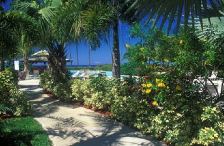 фото отеля Rincon of the Seas Grand Caribbean Hotel