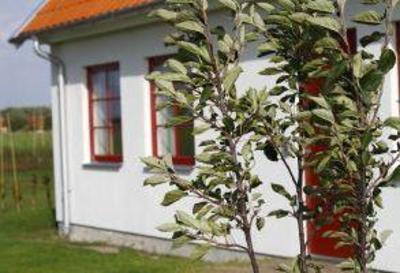 фото отеля Hobykrok B&B