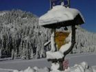 фото отеля Kärntnerstub'n Anderwald Gasthof