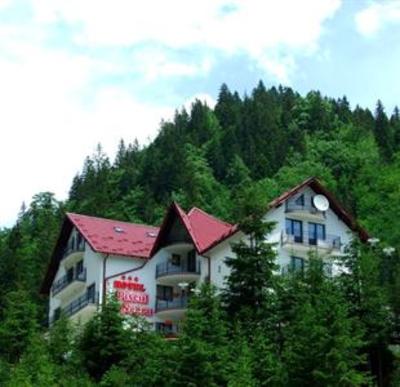 фото отеля Hotel Piscul Negru