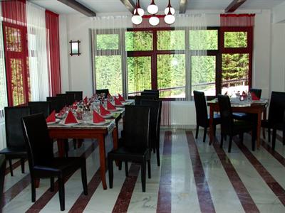фото отеля Hotel Piscul Negru