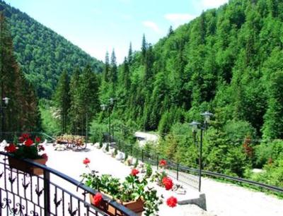 фото отеля Hotel Piscul Negru