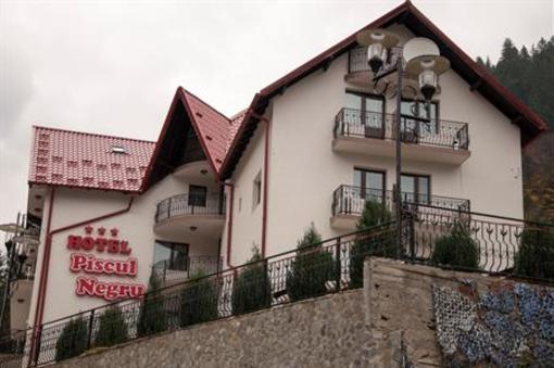 фото отеля Hotel Piscul Negru
