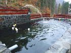 фото отеля Hotel Piscul Negru