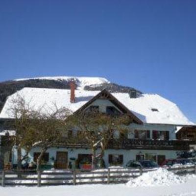 фото отеля Gasthof Bauer Ferienwohnung Mariapfarr