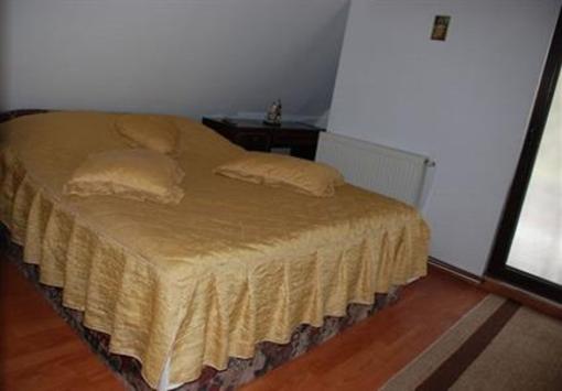 фото отеля Pensiunea Casa Aurora