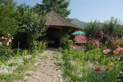 фото отеля Pensiunea Casa Aurora