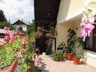 фото отеля Pensiunea Casa Aurora