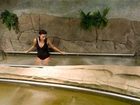 фото отеля Kingfisher Oceanside Resort and Spa