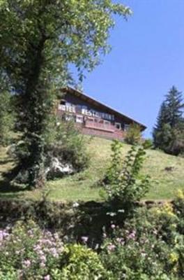 фото отеля Hotel Edelweiss Samoens