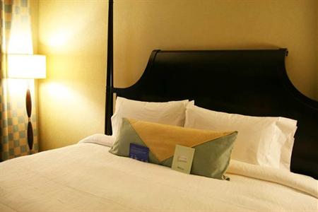 фото отеля Hilton Garden Inn Tribeca New York City