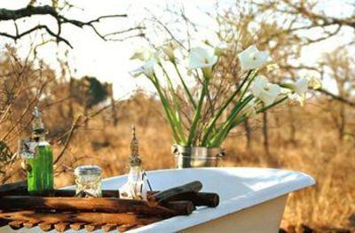 фото отеля White Elephant Safari Lodge Pongola