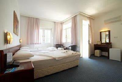фото отеля Hotel Lunay