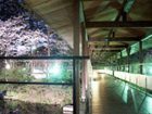 фото отеля Matsusaki