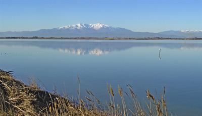 фото отеля Mar I Cel Hotel Canet-en-Roussillon