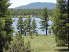 фото отеля Mormon Lake Lodge