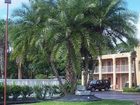 фото отеля Scottish Inns Ormond Beach