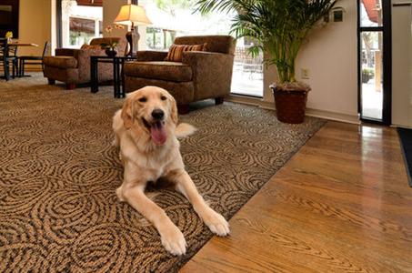 фото отеля BEST WESTERN PLUS St. Charles Inn