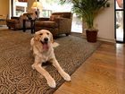 фото отеля BEST WESTERN PLUS St. Charles Inn
