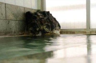 фото отеля Nakajimasou Inn