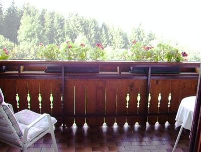 фото отеля Pension Alena