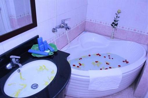 фото отеля Flamingo Hotel Hanoi