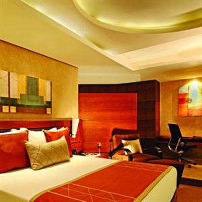 фото отеля Radisson Blu Hotel Ghaziabad