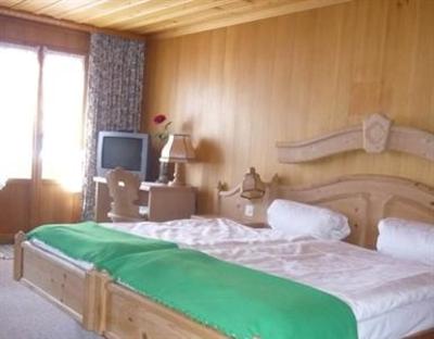фото отеля Hotel Wildhorn