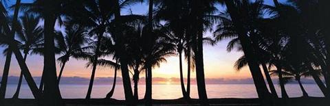 фото отеля Paradise On The Beach Resort Palm Cove