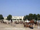 фото отеля El Mouradi