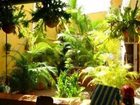 фото отеля Hostal José y Fátima