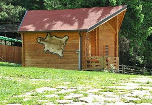 фото отеля Pension Vanatorul