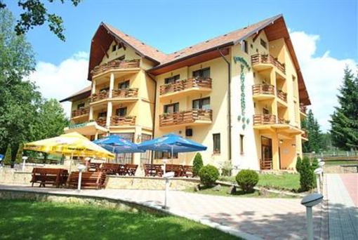 фото отеля Pension Vanatorul
