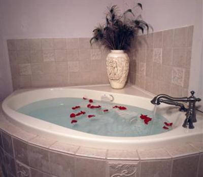 фото отеля Blisswood Bed & Breakfast Cat Spring